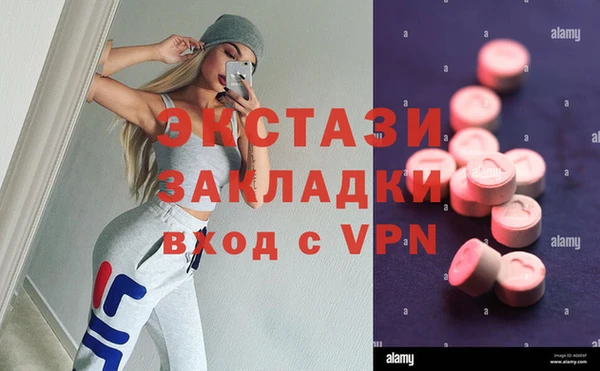 МДПВ Ельня