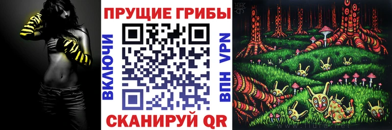 Псилоцибиновые грибы Magic Shrooms  Купить где  Очёр 
